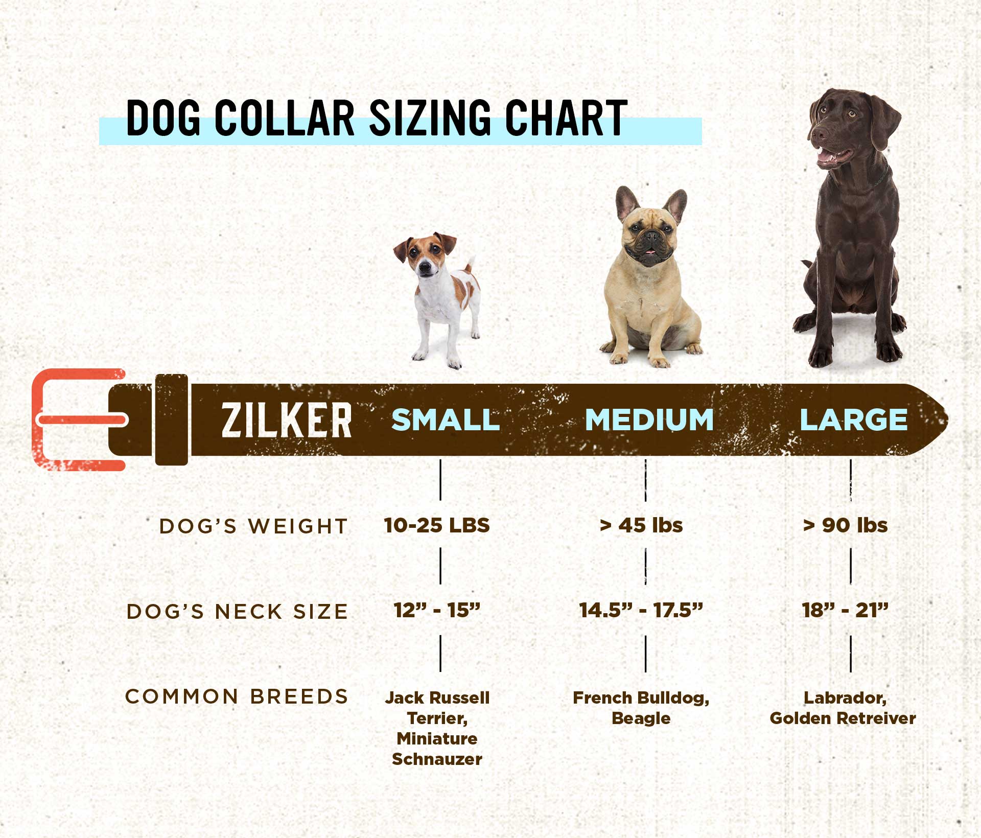 Argentina Dog Collar - Image 7