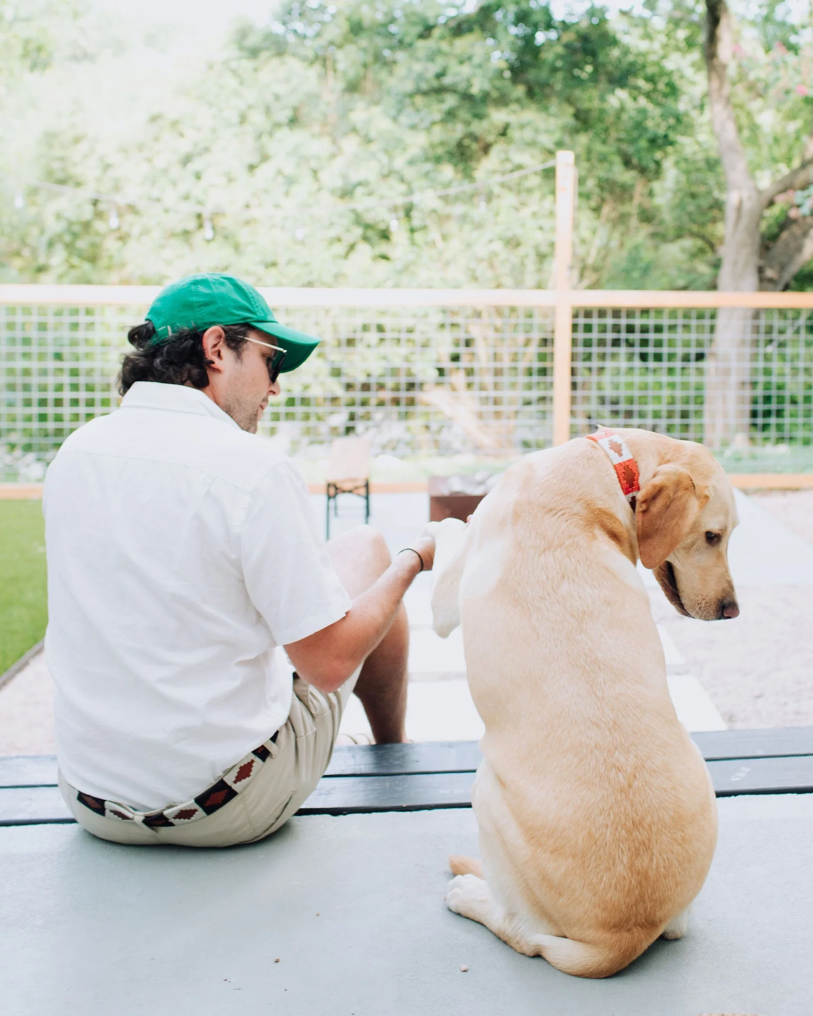 ATX Dog Collar - Image 4