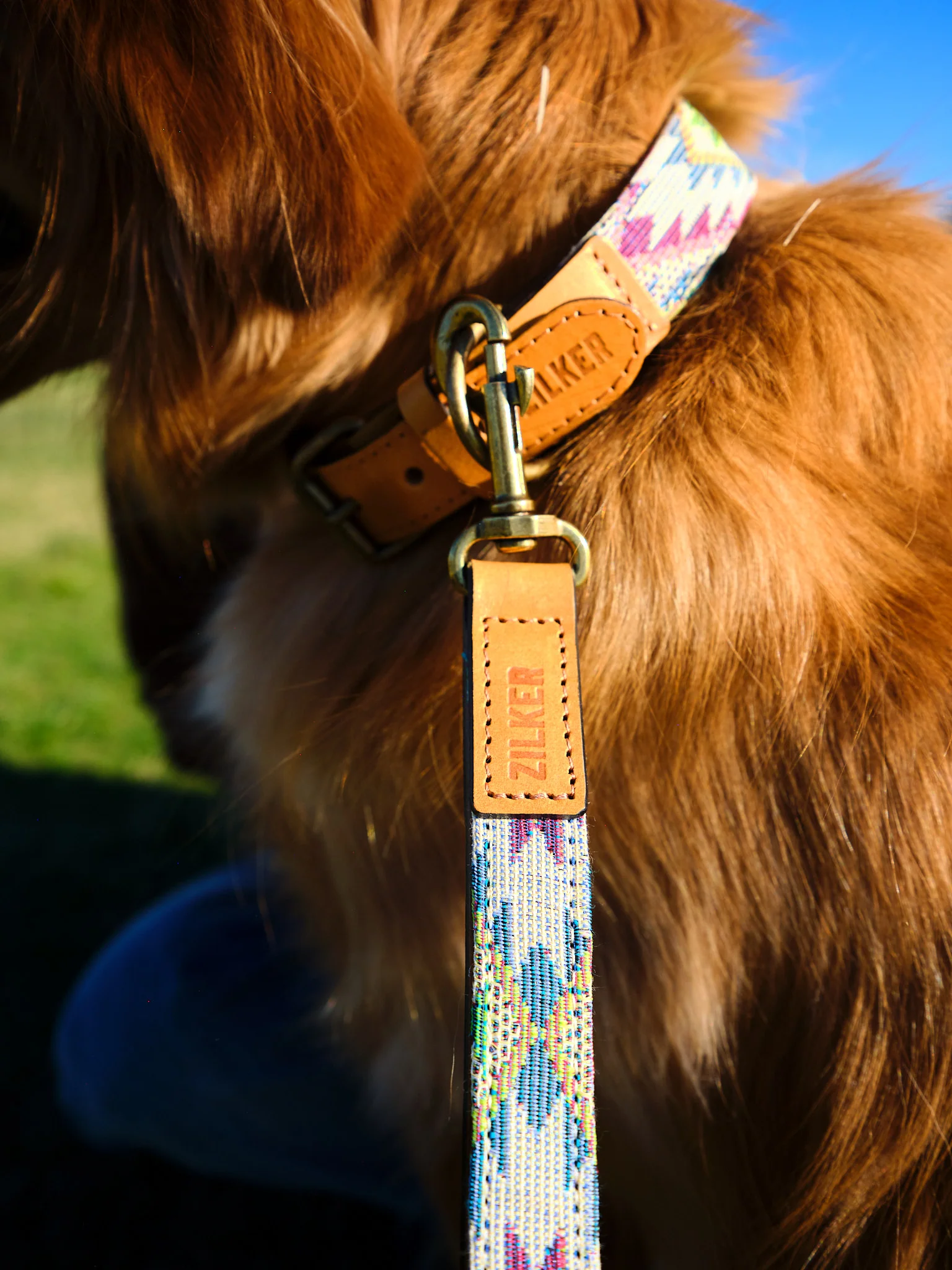 Drewski Dog Collar - Image 5