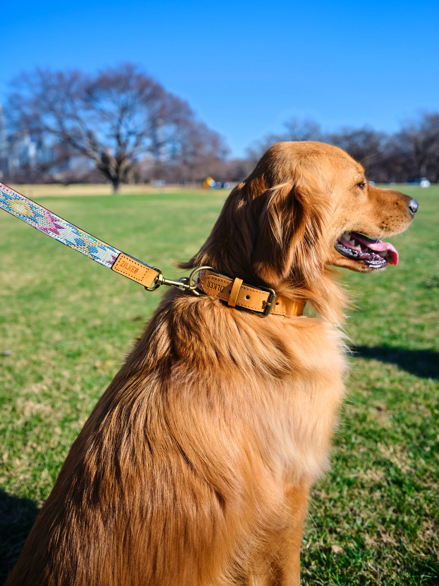 Drewski Dog Leash - Image 3