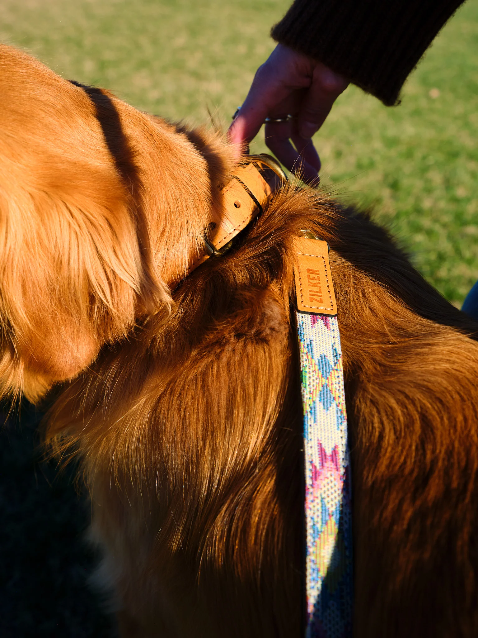 Drewski Dog Leash - Image 5