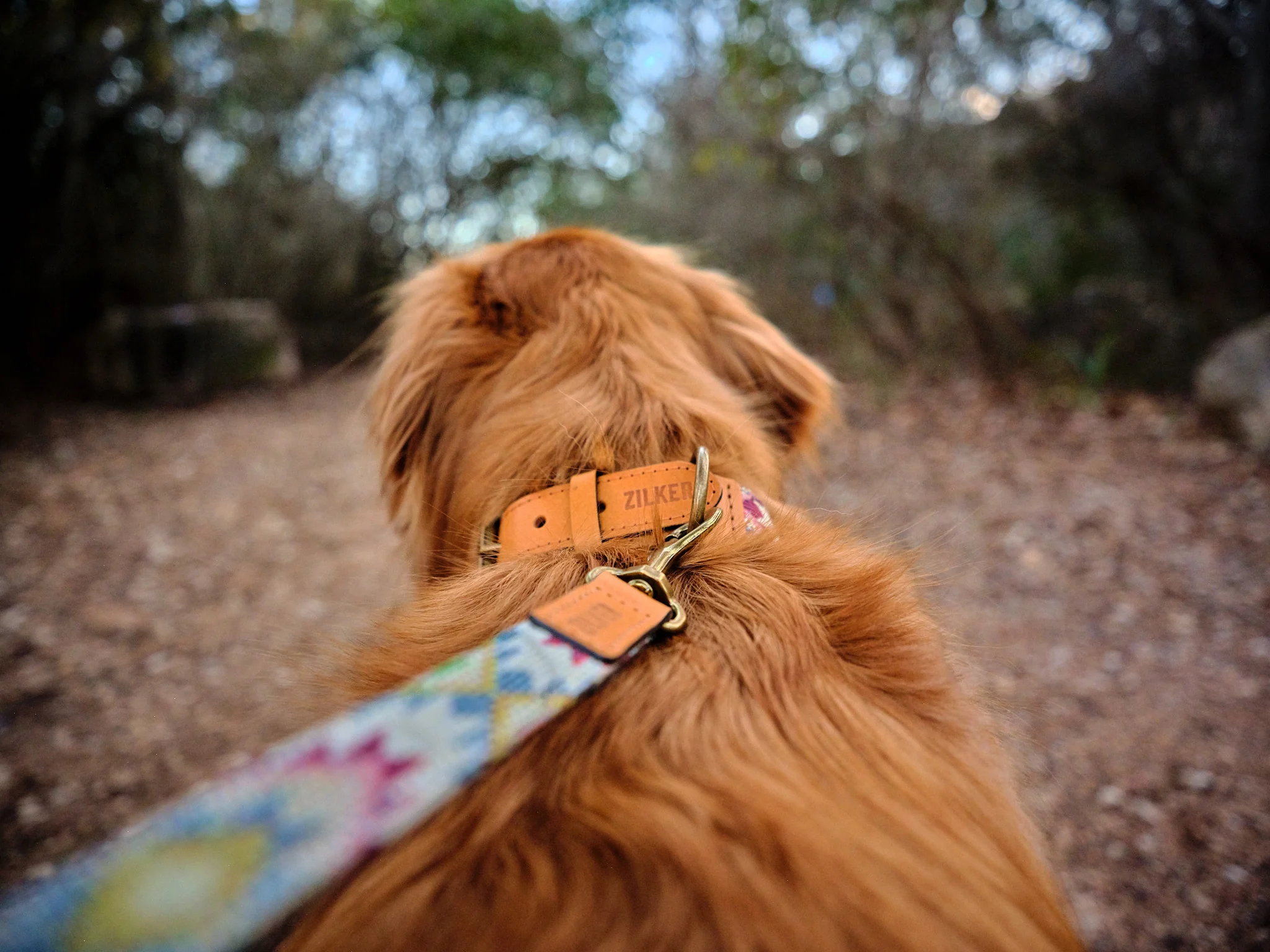 Drewski Dog Leash - Image 6