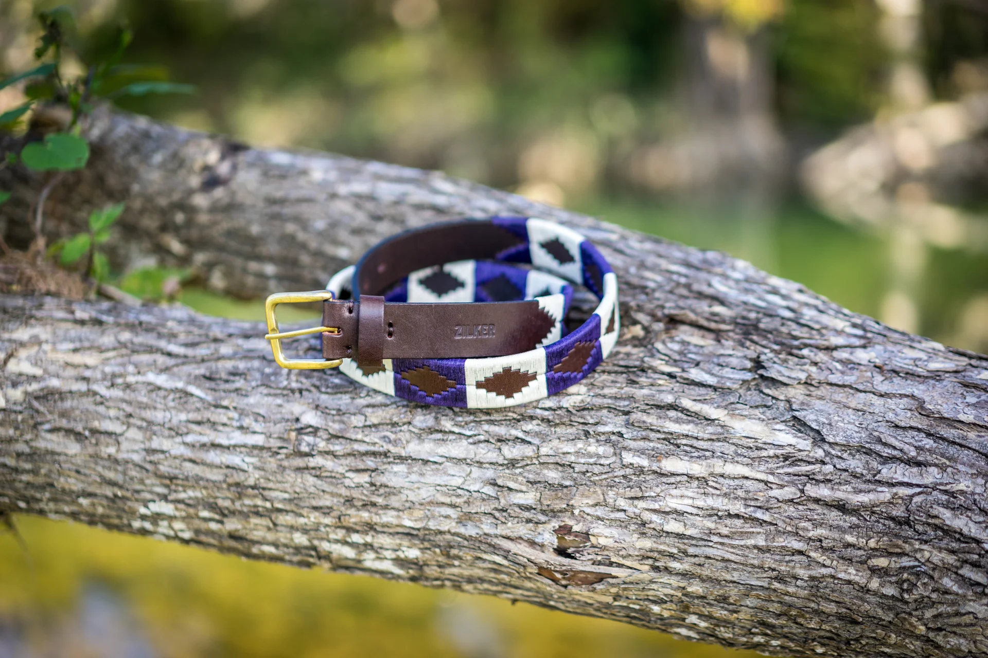 Horned Frog - Image 5