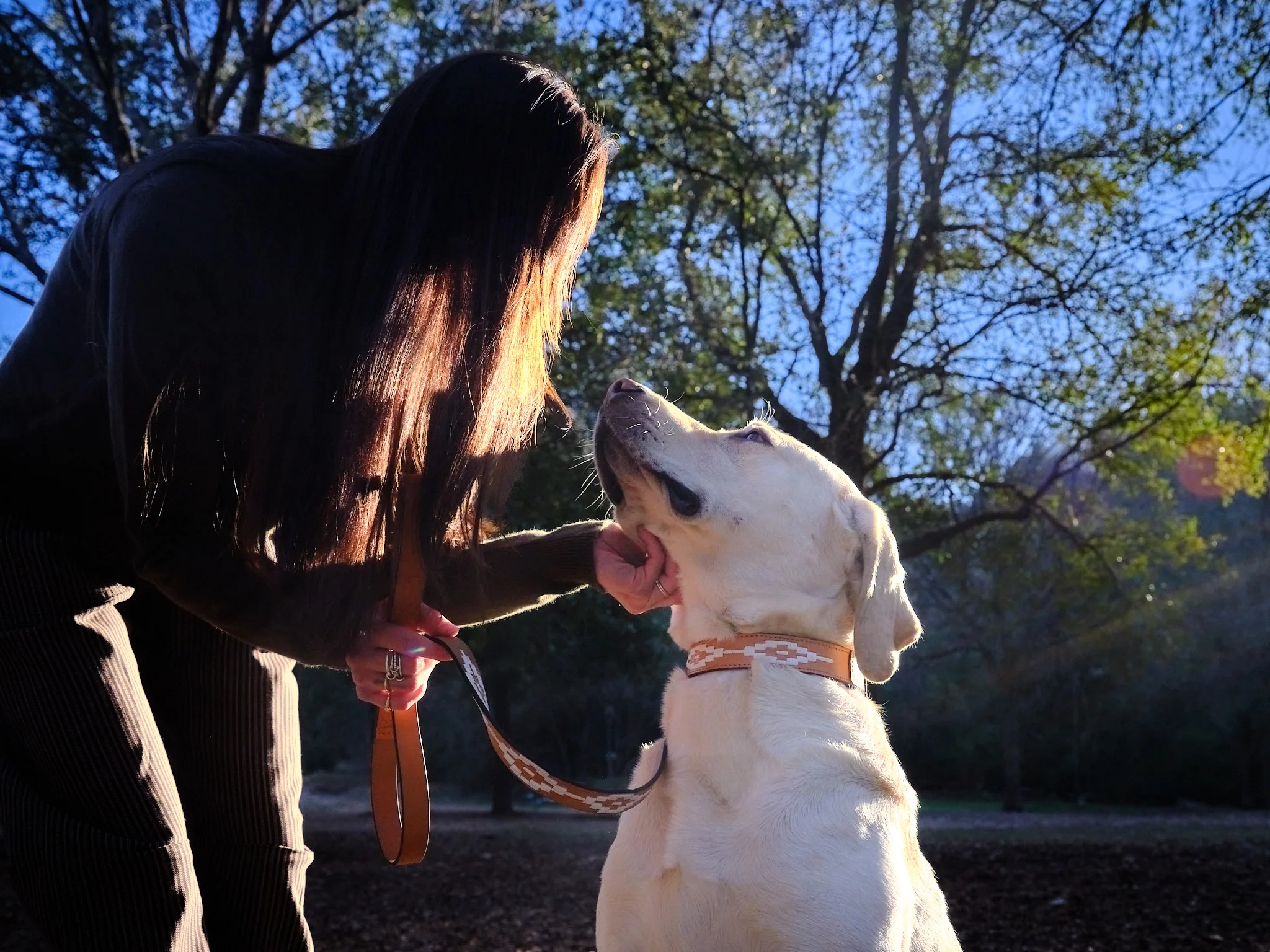 Rambler Dog Collar - Image 4
